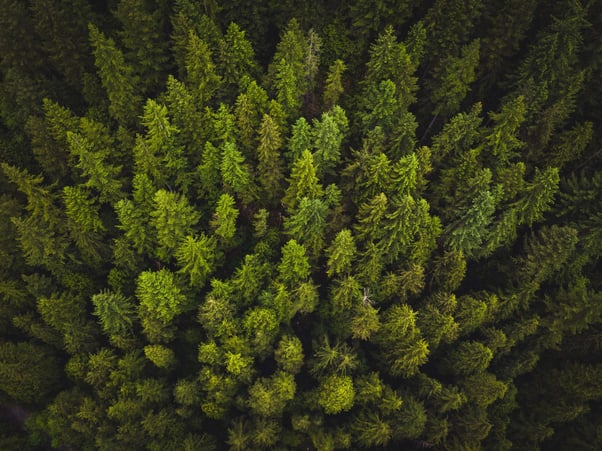 spencer-watson-dEOC8M_lmxI-unsplash