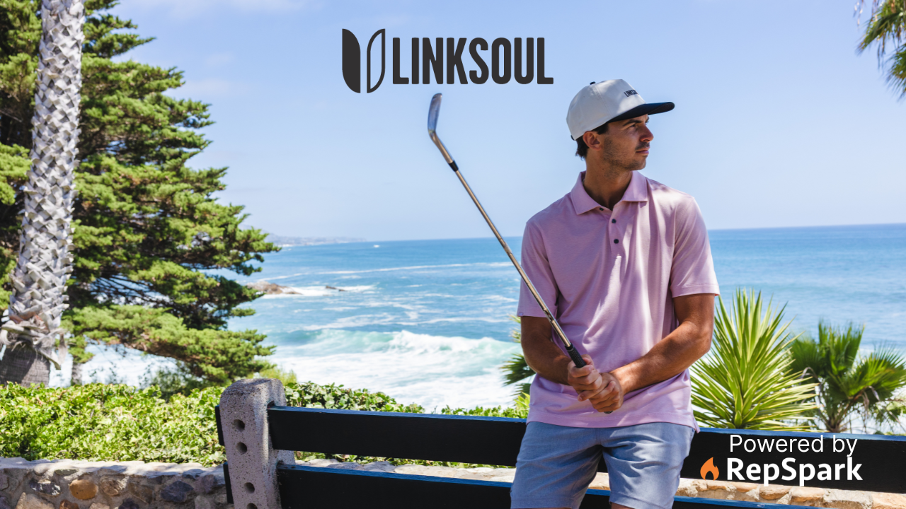 Linksoul Cover Photo (2)