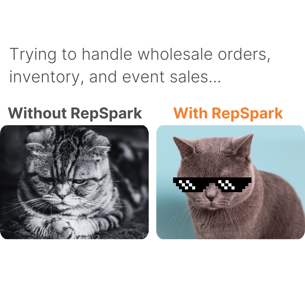 Do B2B Better With RepSpark