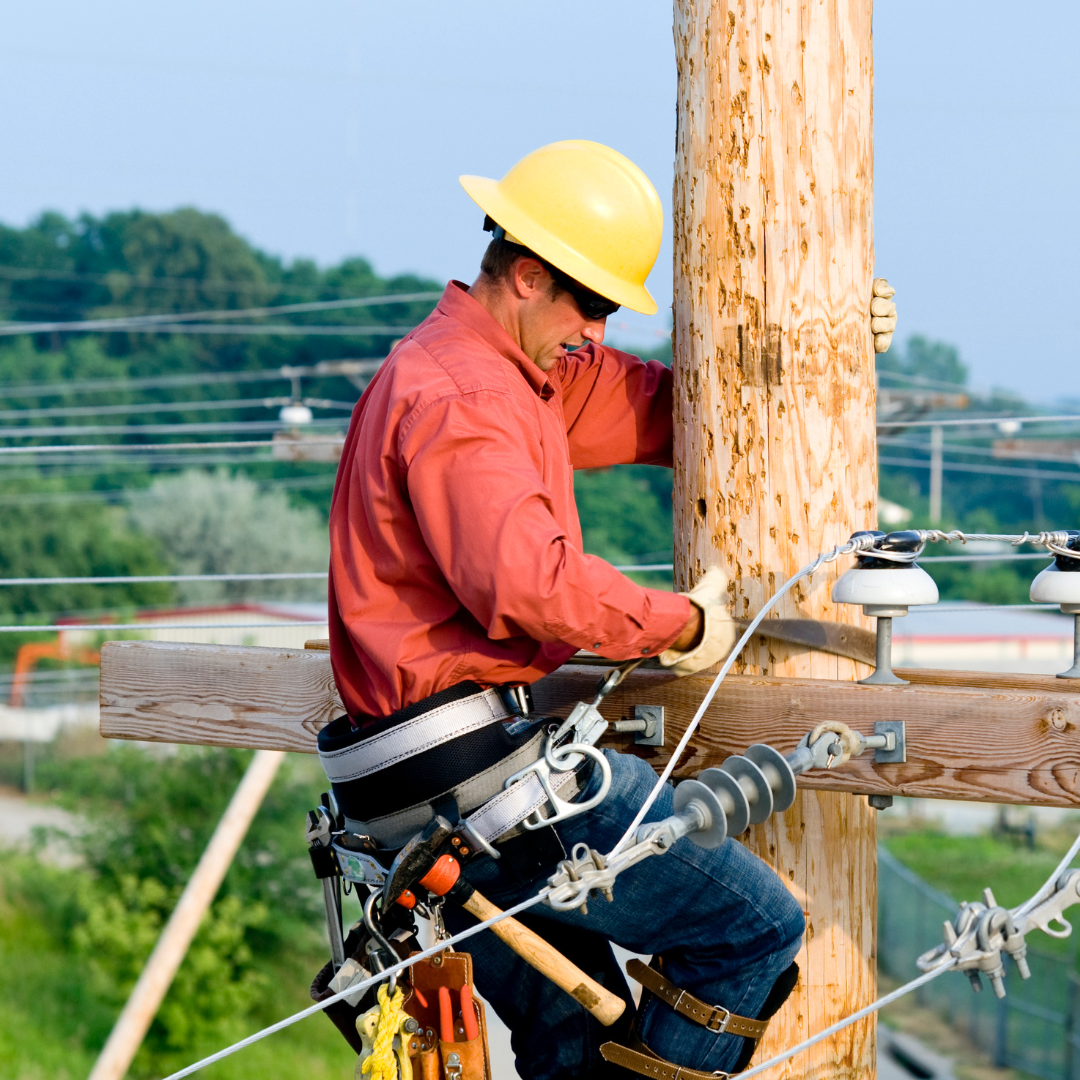 Utility, Transit & Municipal Services