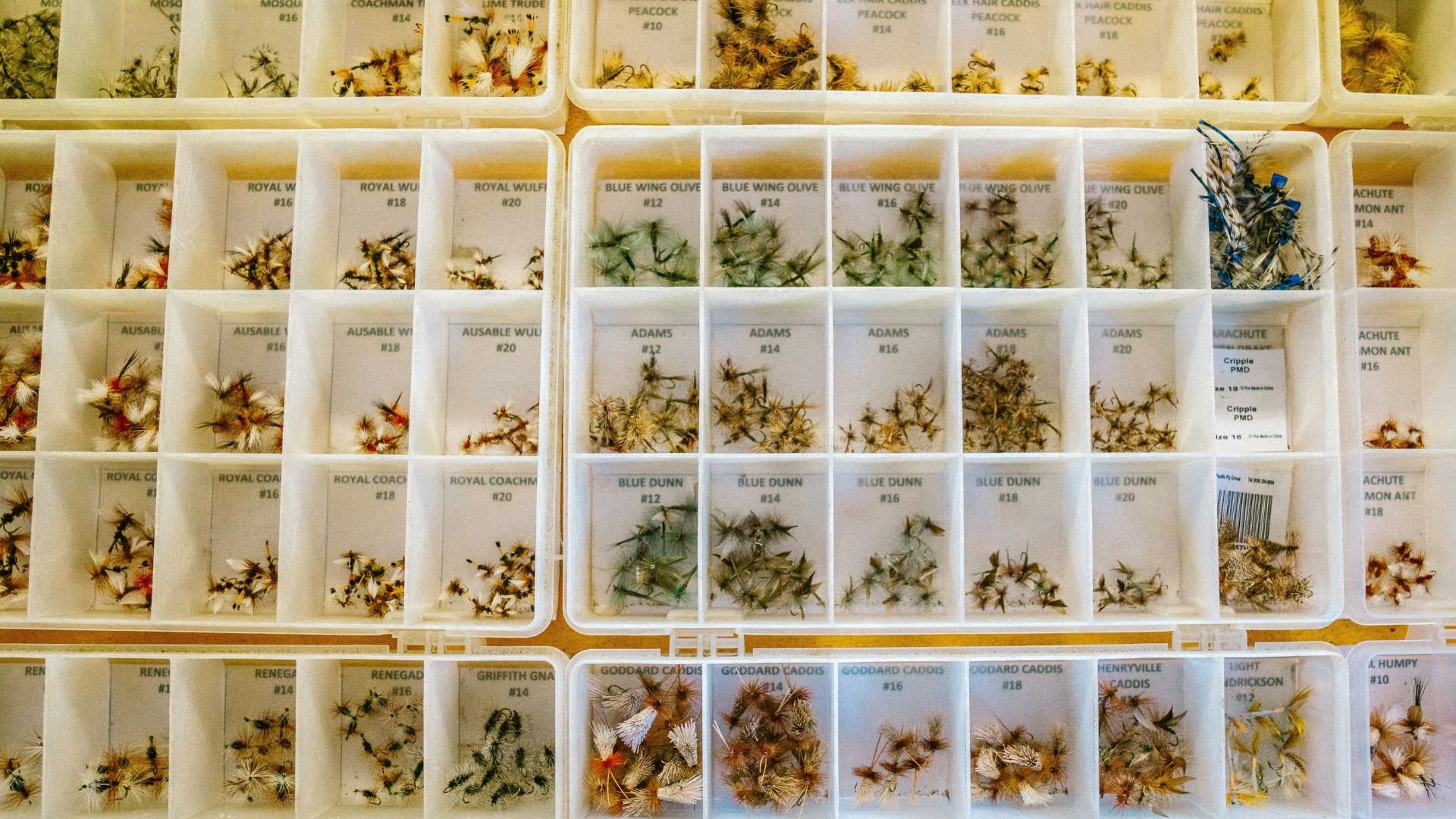 a wall of fishing lures and flies