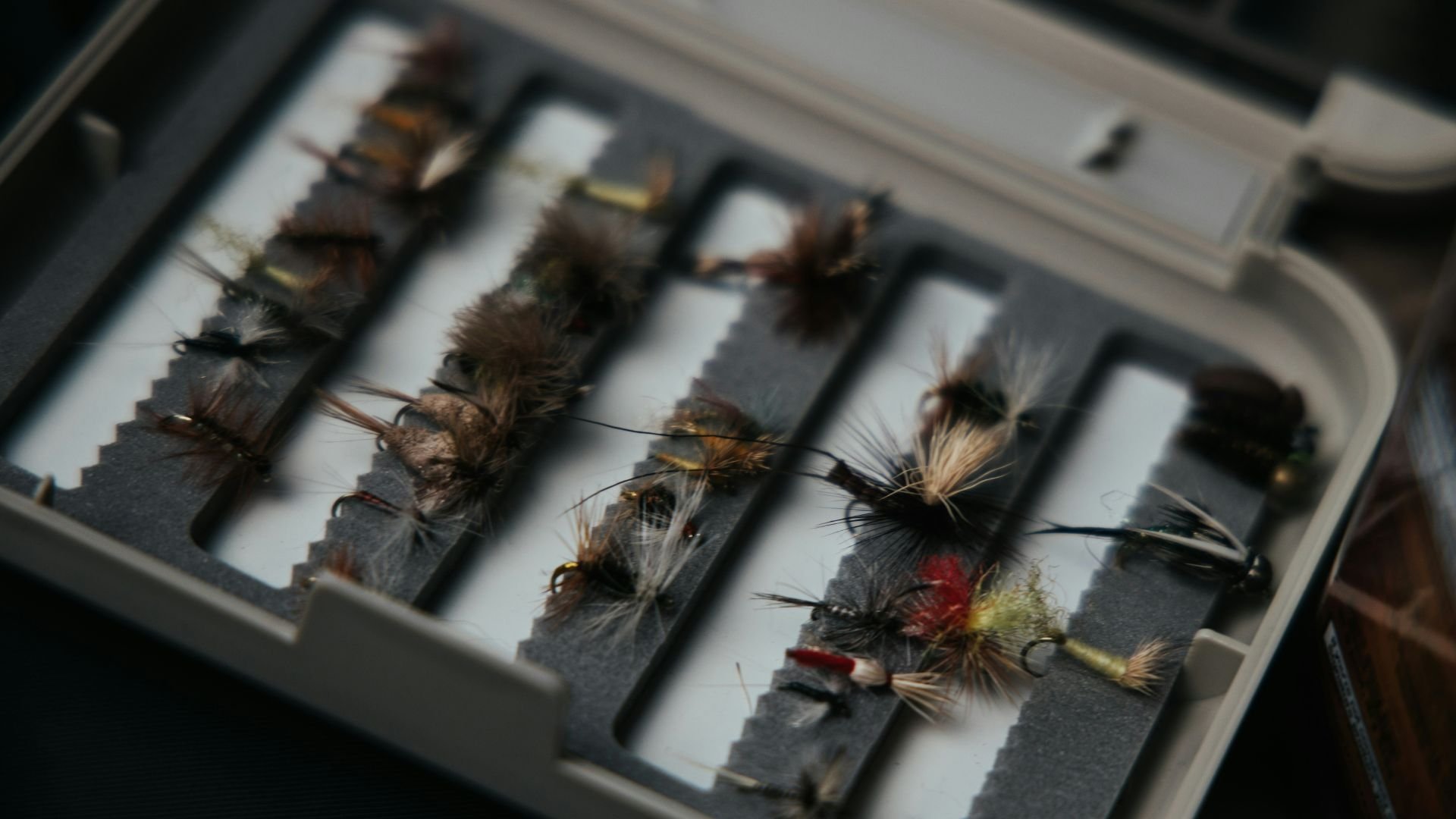a box of flies for fly fishing