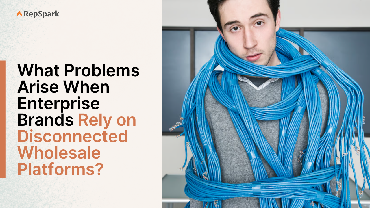 What Problems Arise When Enterprise Brands Rely on Disconnected Wholesale Platforms?